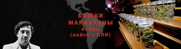молекула духа Мегион
